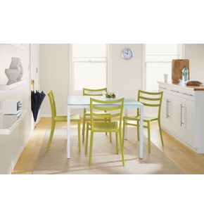 Plastic Chair (indoor use only)