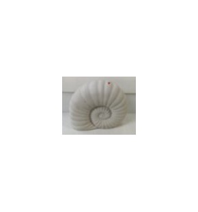 24cm Shell Ceramic Feature