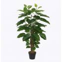 Potted 120cm Pothos