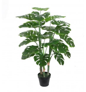 Potted 110cm Monstera for Sale - Buy Online|Austina