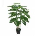 Potted 110cm Monstera