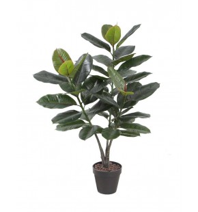 Potted 90cm Rubber Plant for Sale - Buy Online | Austina