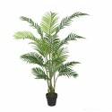 Potted 160cm Areca Palm