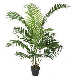 Potted 120cm Areca Palm for Sale-Buy Online|Austina