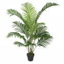 Potted 120cm Areca Palm