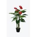 Potted 110cm Anthurium