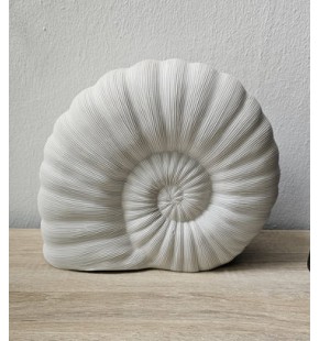 24cm Shell Ceramic Feature