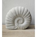 24cm Shell Ceramic Feature